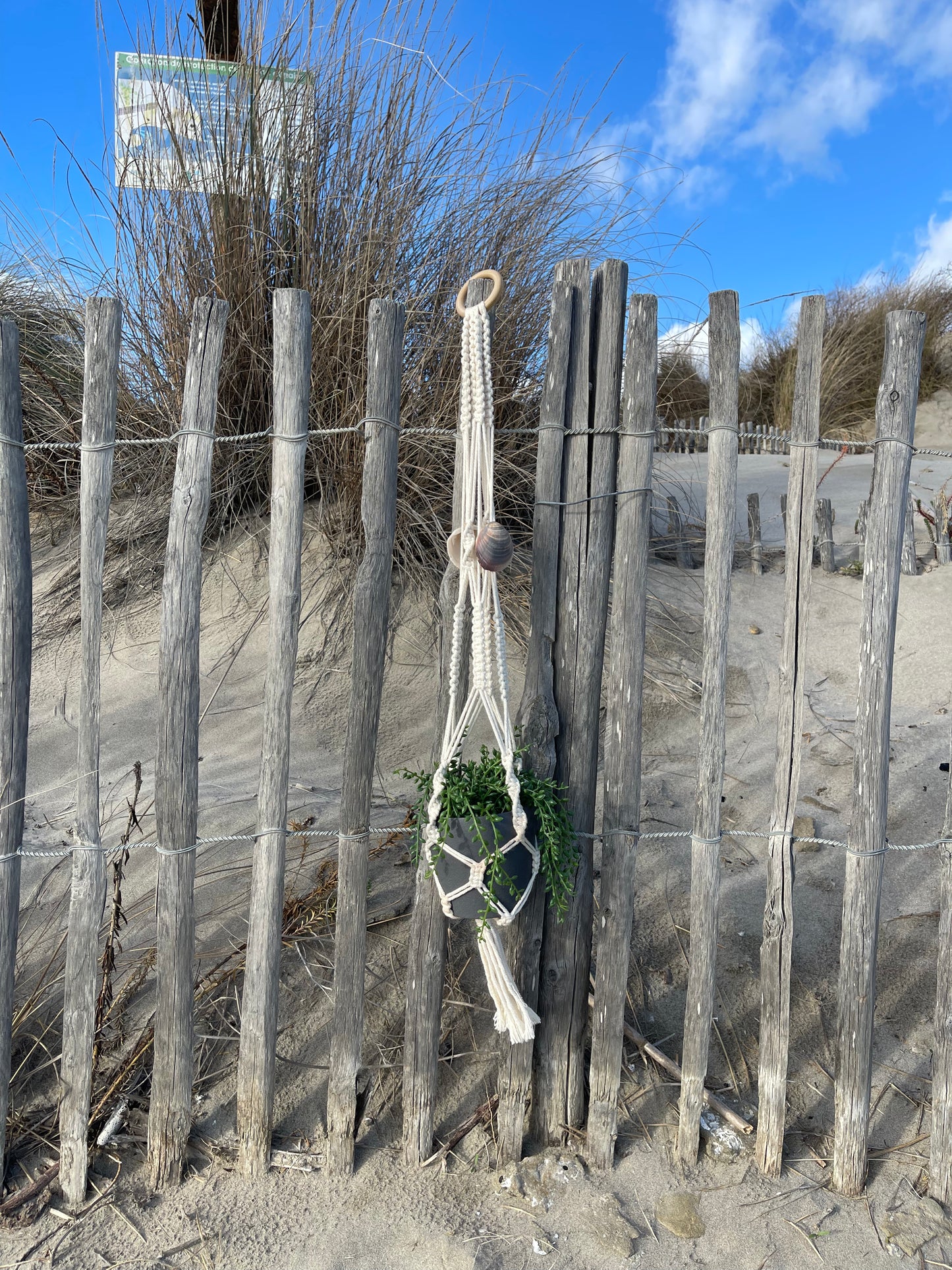 Suspension pour plantes en macramé et coquillages de Sète - Padlockfr