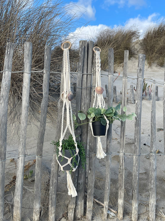 Suspension pour plantes en macramé et coquillages de Sète - Padlockfr