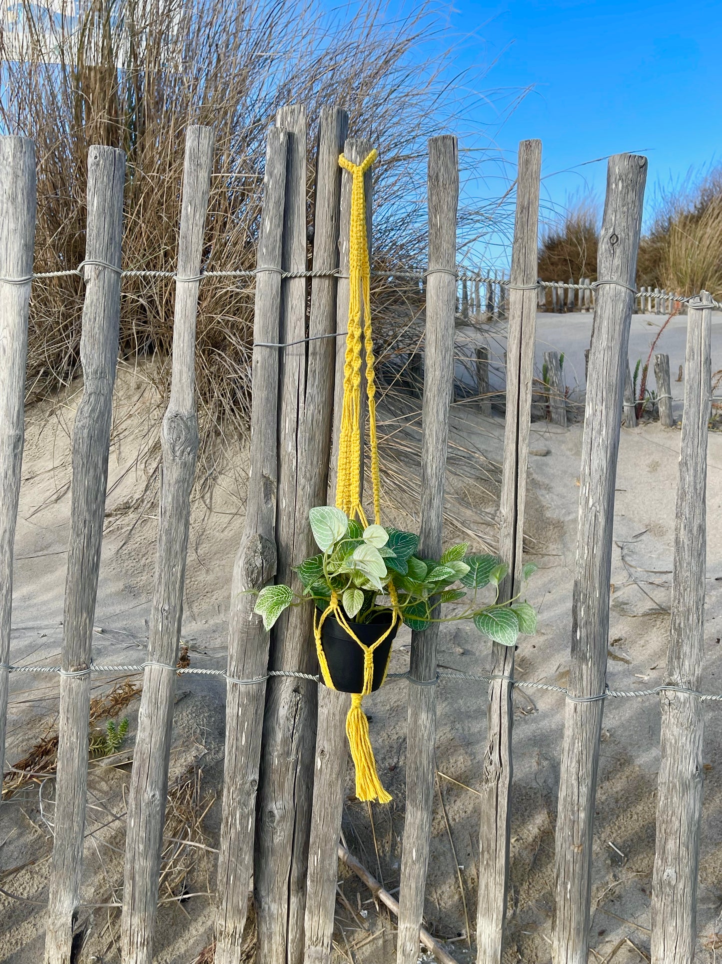 Suspension pour plantes en macramé jaune - Padlockfr