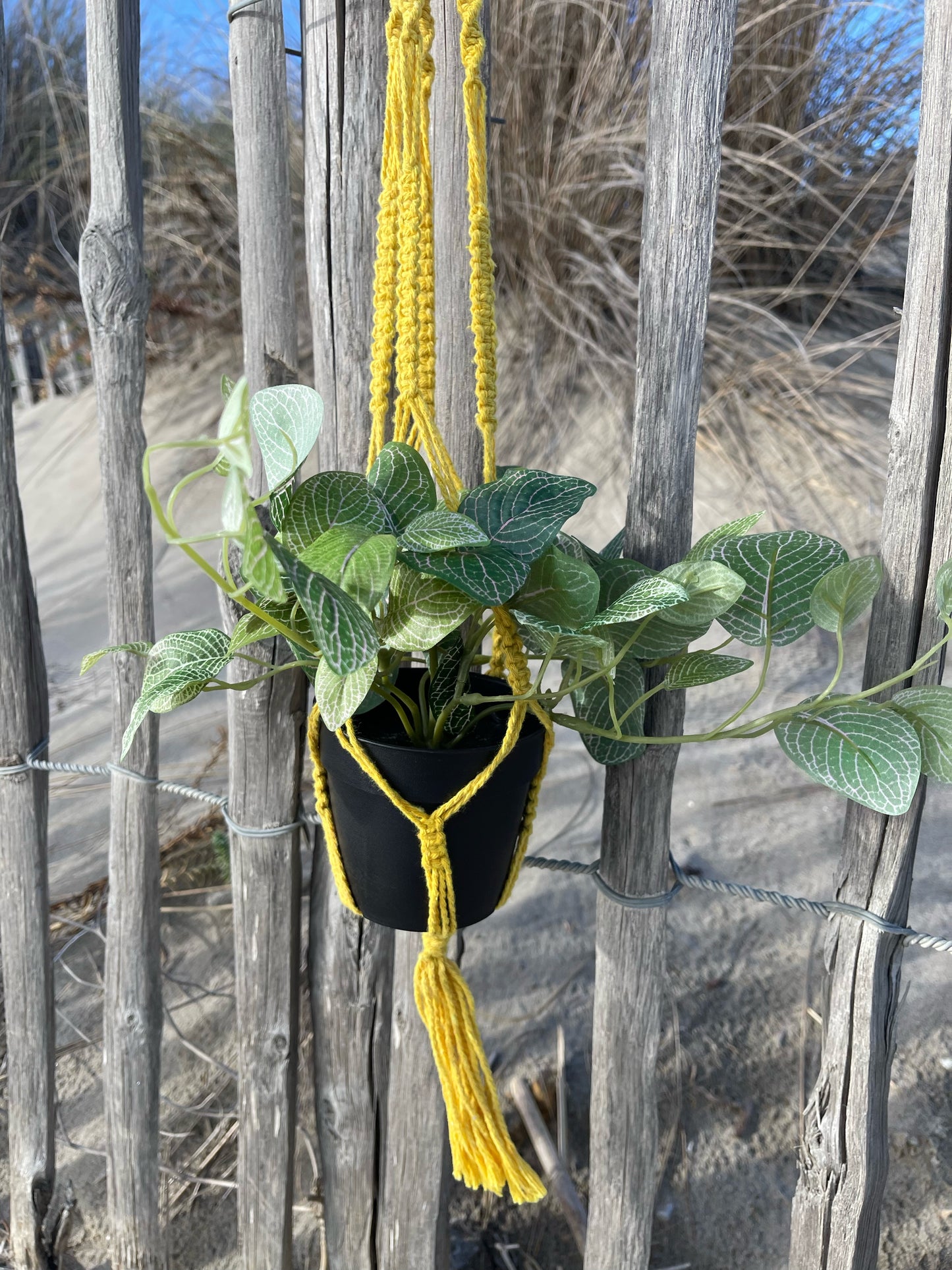 Suspension pour plantes en macramé jaune - Padlockfr