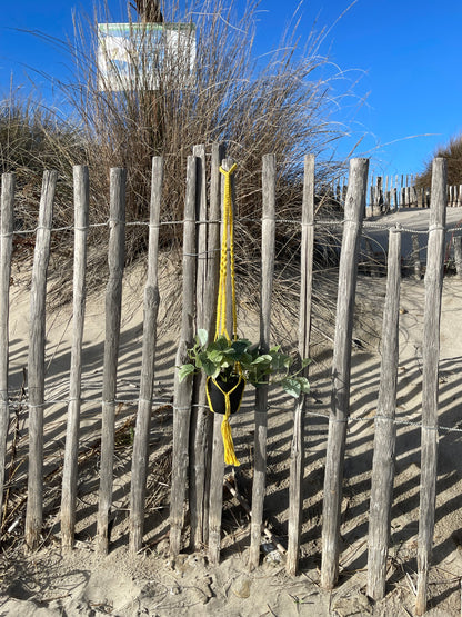 Suspension pour plantes en macramé jaune - Padlockfr