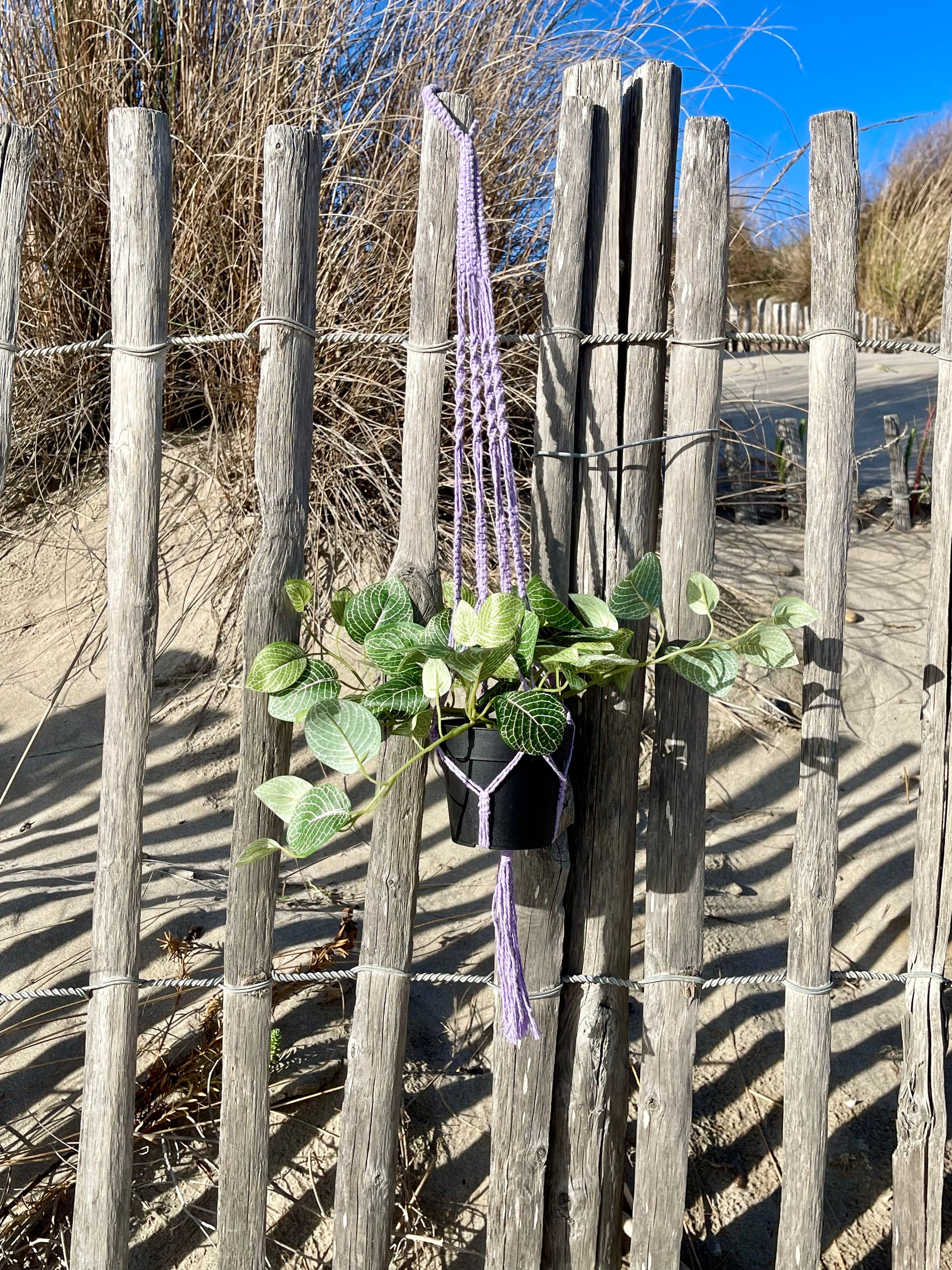 Suspension pour plantes en macramé violette - Padlockfr