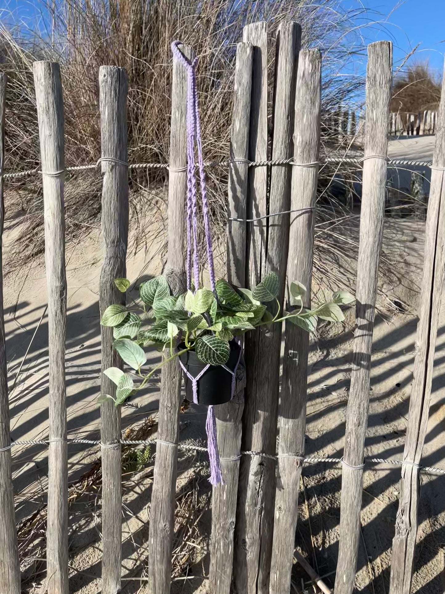 Suspension pour plantes en macramé violette - Padlockfr