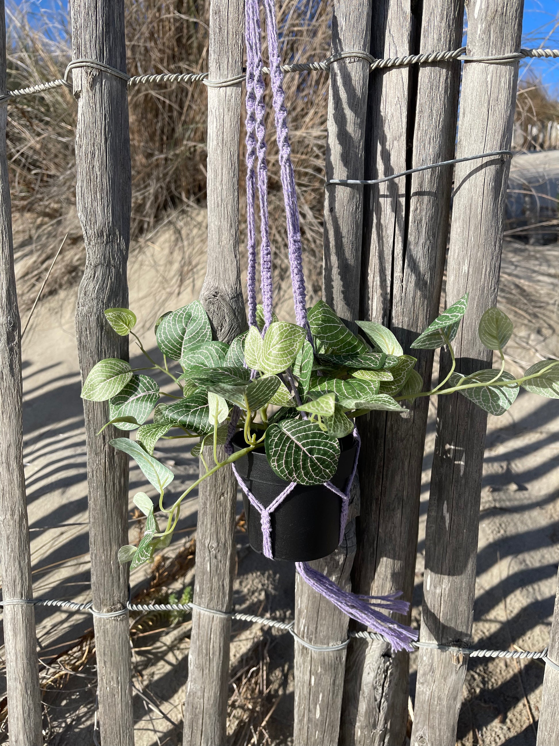 Suspension pour plantes en macramé violette - Padlockfr